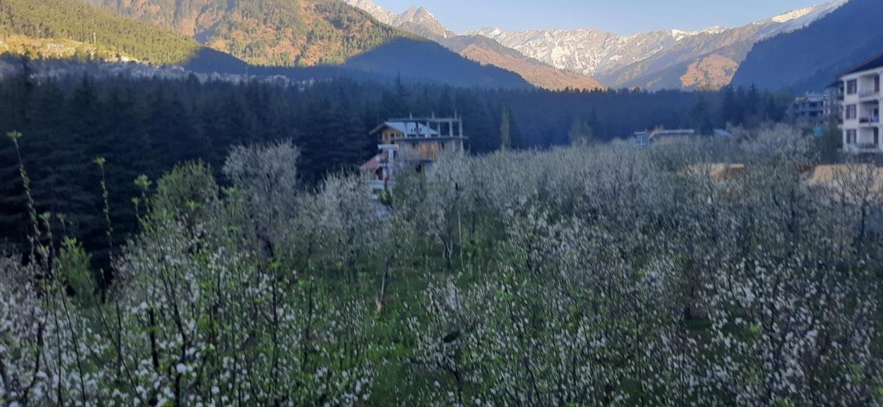 The Heaven'S Retreat Manāli Exterior foto